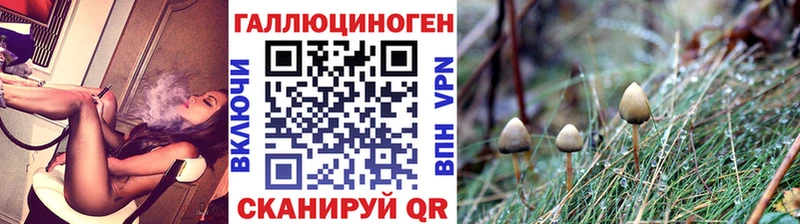 как найти закладки  Боготол  Галлюциногенные грибы Psilocybine cubensis 
